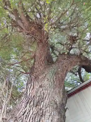 菰江村社(大阪府)