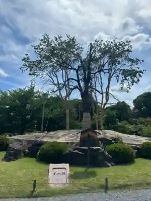 東寺（教王護国寺）(京都府)