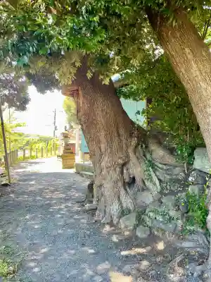 八雲神社（北鎌倉・山ノ内）(神奈川県)