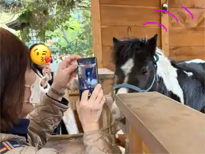 平塚八幡宮(神奈川県)