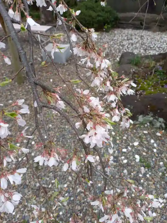 尾久八幡神社(東京都)