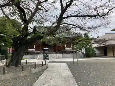 智清寺(東京都)