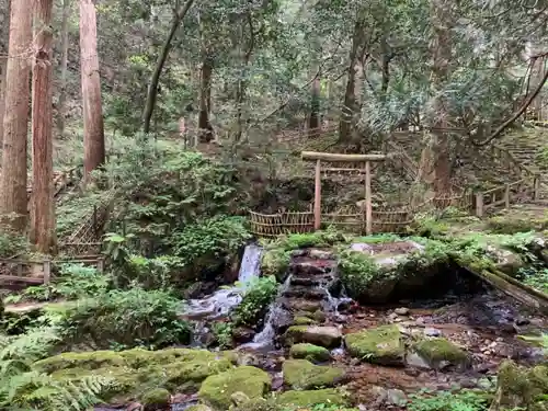 天徳寺の自然