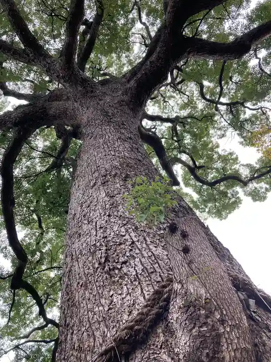 大市八幡神社(兵庫県)