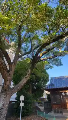 城山神社(愛媛県)