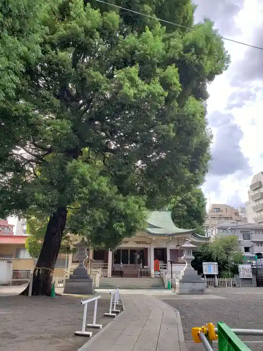 荻窪白山神社(東京都)