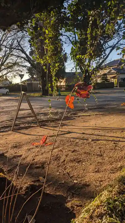 伏木香取神社(茨城県)