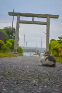 尻岸内八幡神社の景色(2024年06月04日(火) 07時17分55秒投稿)