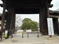 醍醐寺(京都府)