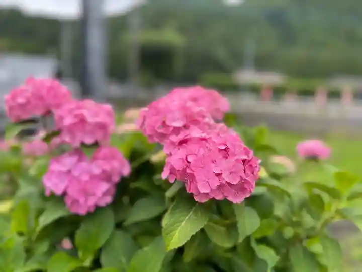 長念寺(埼玉県)