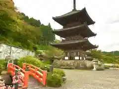 南法華寺（壷阪寺）(奈良県)