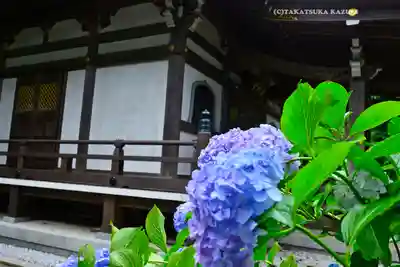 妙楽寺(神奈川県)