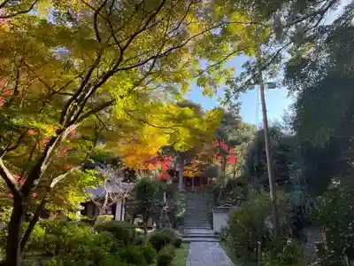 来迎院(京都府)