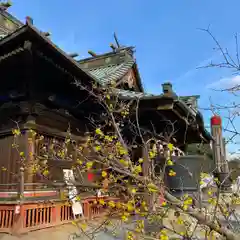 板倉雷電神社の本殿