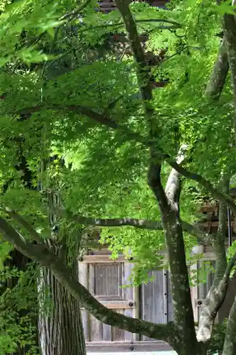 国宝 大法寺(長野県)