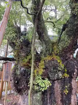 富知六所浅間神社(静岡県)