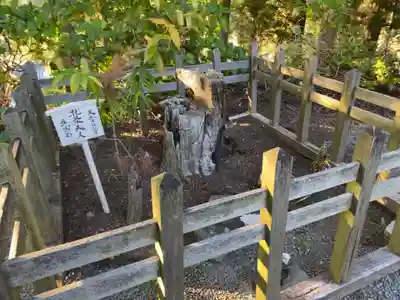 景徳院のその他建物