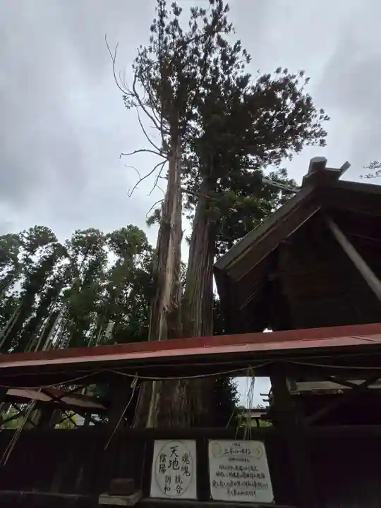 鹿嶋三嶋神社(茨城県)
