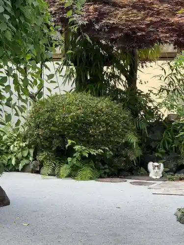 関雲山長福寺(神奈川県)