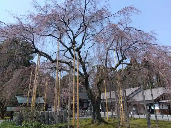 足羽神社(福井県)