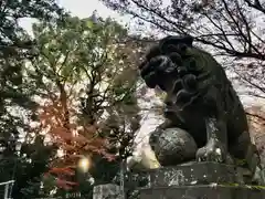 代々木八幡宮(東京都)