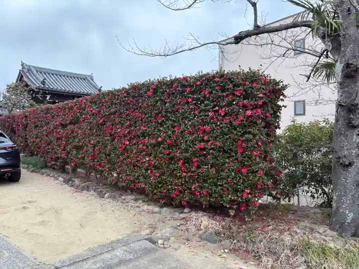 金龍寺(兵庫県)