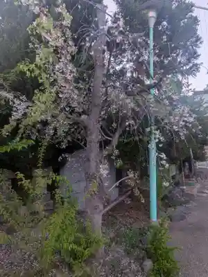 上千葉香取神社(東京都)