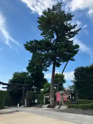 中野沼袋氷川神社(東京都)