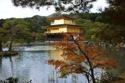 鹿苑寺（金閣寺）の本殿・本堂