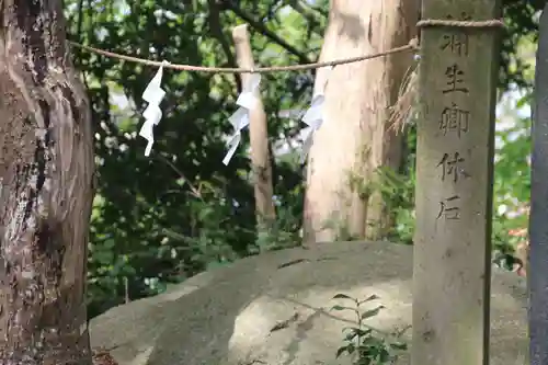 阿久津「田村神社」（郡山市阿久津町）旧社名：伊豆箱根三嶋三社のその他建物