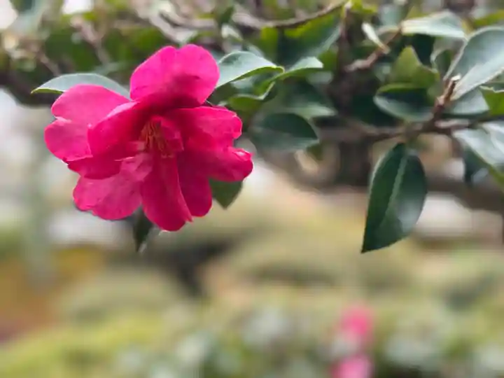 西方山極楽寺(岐阜県)
