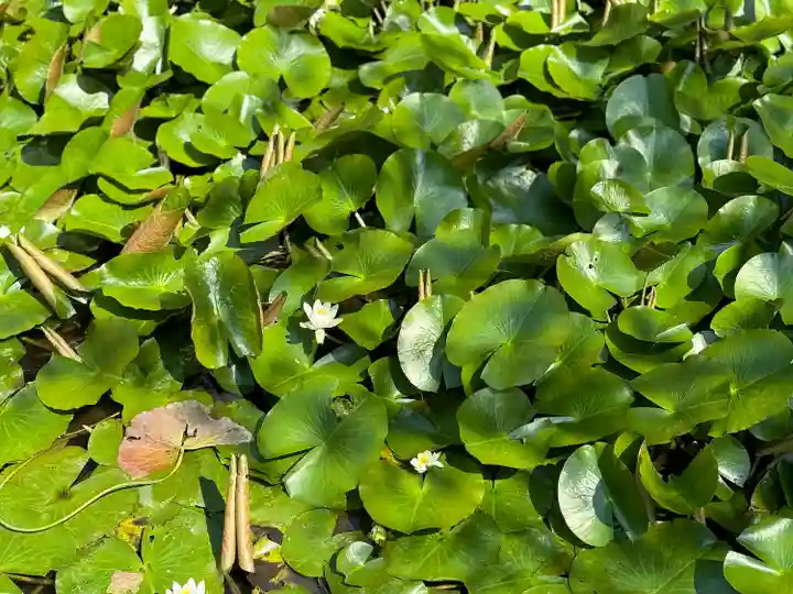 上杉神社(山形県)