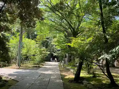 赤坂氷川神社(東京都)
