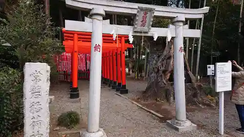 常磐神社の鳥居