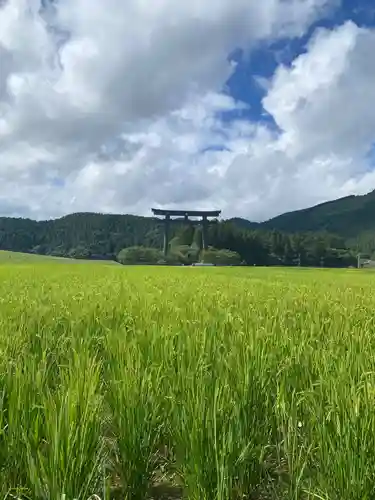 大斎原（熊野本宮大社旧社地）(和歌山県)