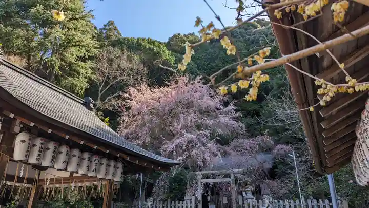 大豊神社(京都府)