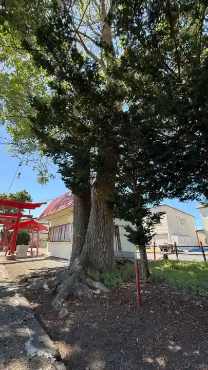 七重浜稲荷神社(北海道)