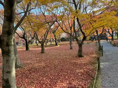 東福禅寺（東福寺）(京都府)