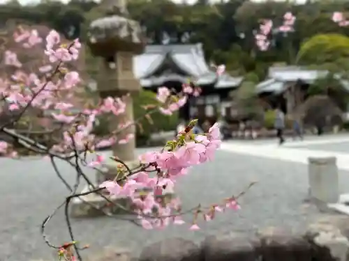修禅寺(静岡県)