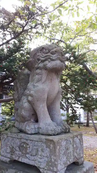 寿都神社の狛犬