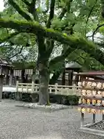 熱田神宮の自然