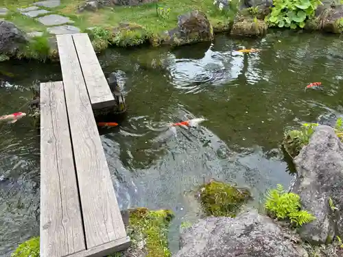北海道護國神社(北海道)
