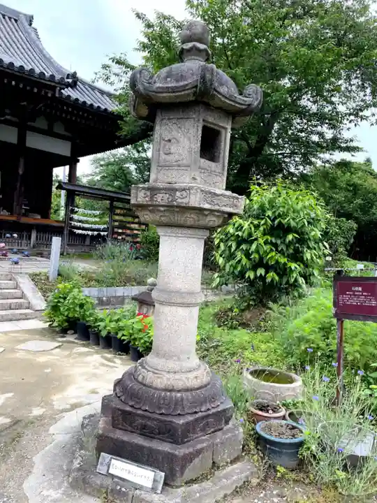 般若寺 ❁コスモス寺❁(奈良県)