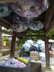 柳谷観音　楊谷寺(京都府)