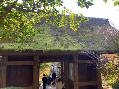 杉本寺の山門・神門