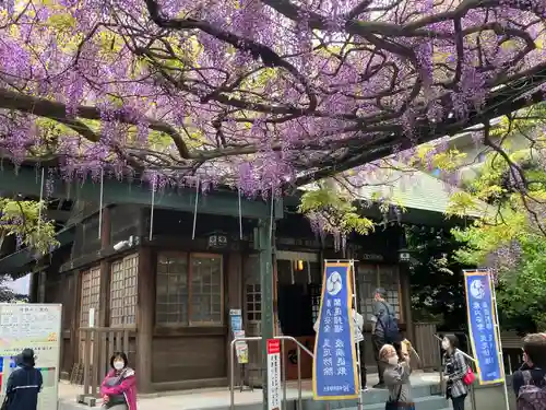 國領神社(東京都)