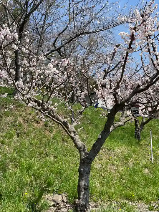 虻田神社の自然