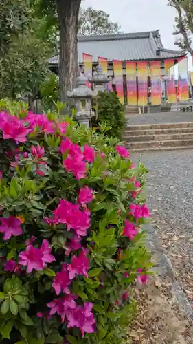 玉田神社(京都府)