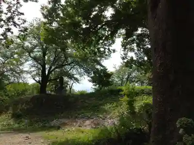 安禅寺(新潟県)