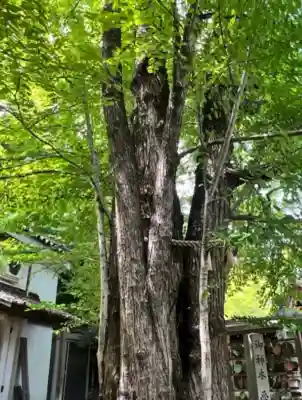 梨木神社(京都府)